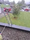 img_20261014_121055_966.jpg