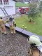 img_20261014_121056_257.jpg